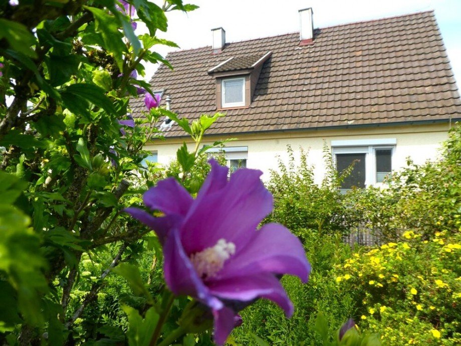 S�dansicht Einfamilienhaus Bietigheim-Bissingen