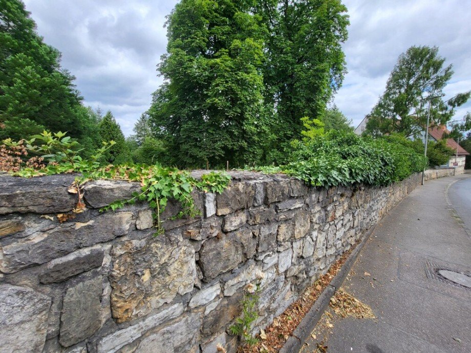 Natursteinmauer Wohngrundst�ck Freiberg am Neckar