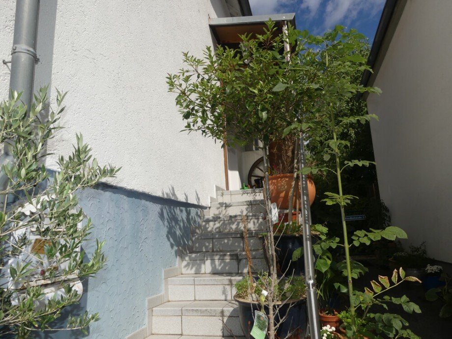 Hauszugang Doppelhaush�lfte Untergruppenbach