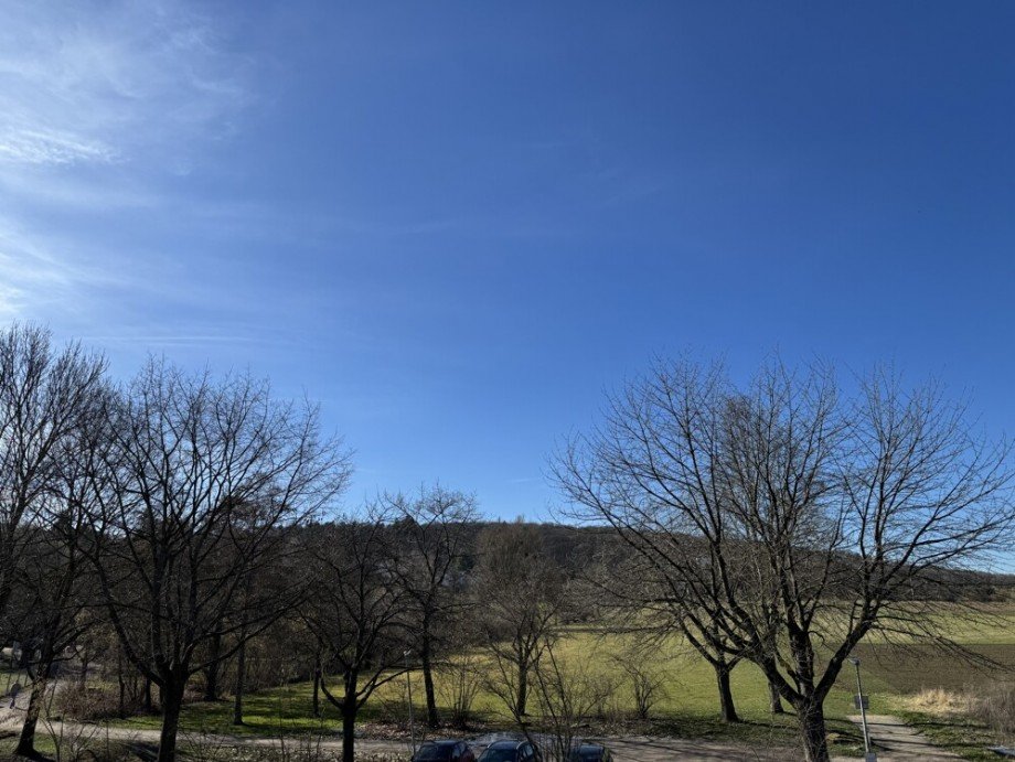 Aussicht von Balkon Etagenwohnung Leinfelden-Echterdingen