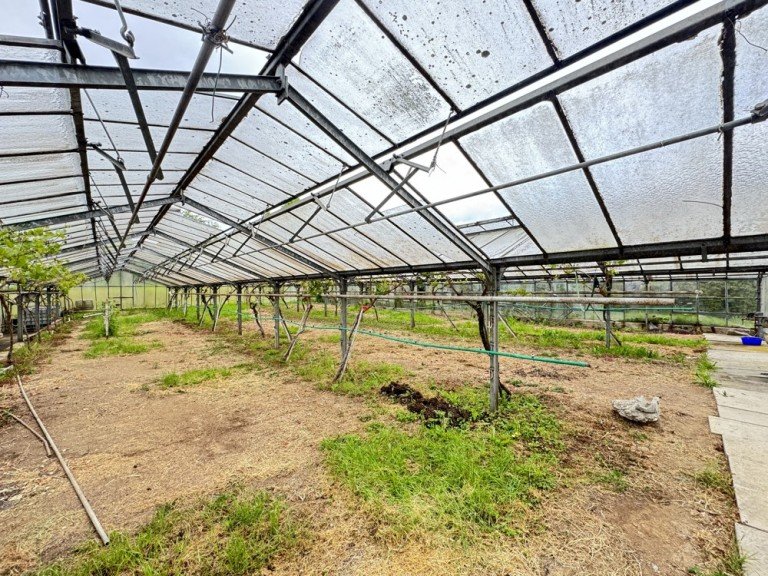 Gew�chshaus Gro�bottwar Land- / Forstwirtschaft - Grdst. Gew�chshaus mit ca. 500 m�in Gro�bottwar***Teilfl�chen m�glich***