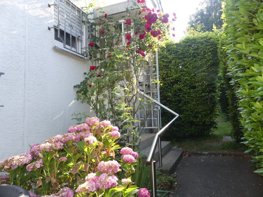 Hauszugang Doppelhaush�lfte Marbach
