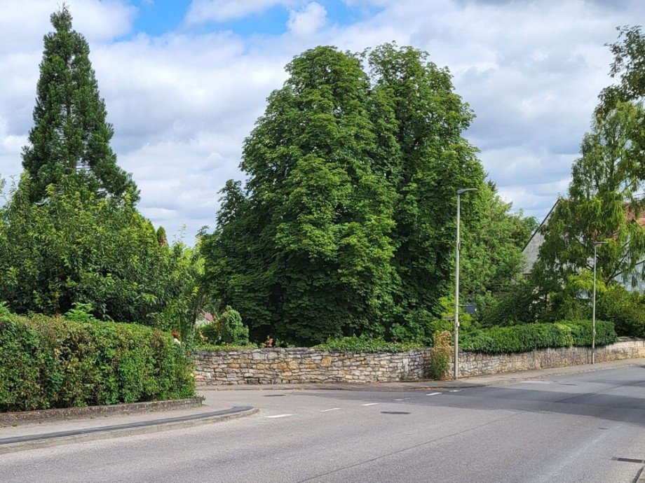 Menzel_Ecke Wohngrundst�ck Freiberg am Neckar