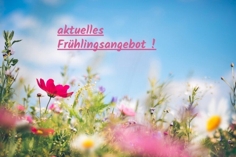 greifen Sie zu ... Eberstadt Etagenwohnung *** einfach zum Verlieben ... sehr gepflegte 3 Zi.-Balkonwohnung in ruhiger Lage ... ! ***