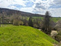 Bild (775957aed91baf30d8af3e6ce4d23d76): Traumhaftes Baugrundst�ck mit Burgblick