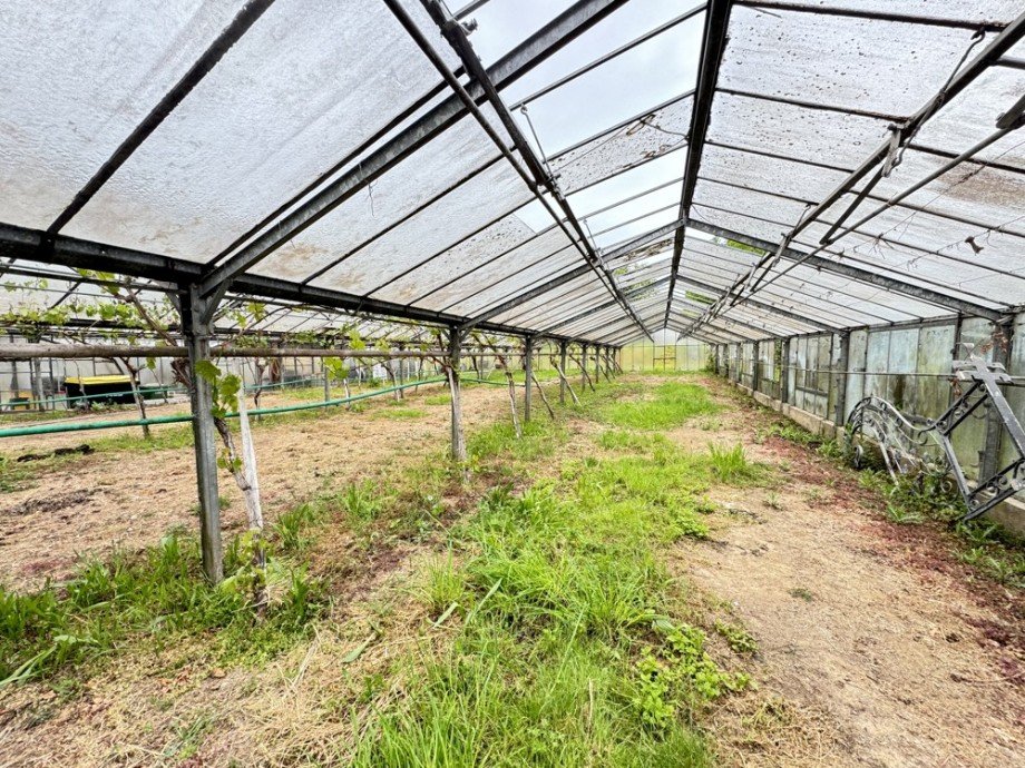 Gew�chshaus Land- / Forstwirtschaft - Grdst. Gro�bottwar