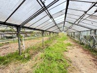 Bild (8a7de501a2fdfa0cd9e97b10167cc373): Gew�chshaus mit ca. 500 m�in Gro�bottwar***Teilfl�chen m�glich***