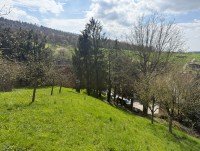 Bild (8af88b64b937e66fbdc82adb0dbbaa52): Traumhaftes Baugrundst�ck mit Burgblick