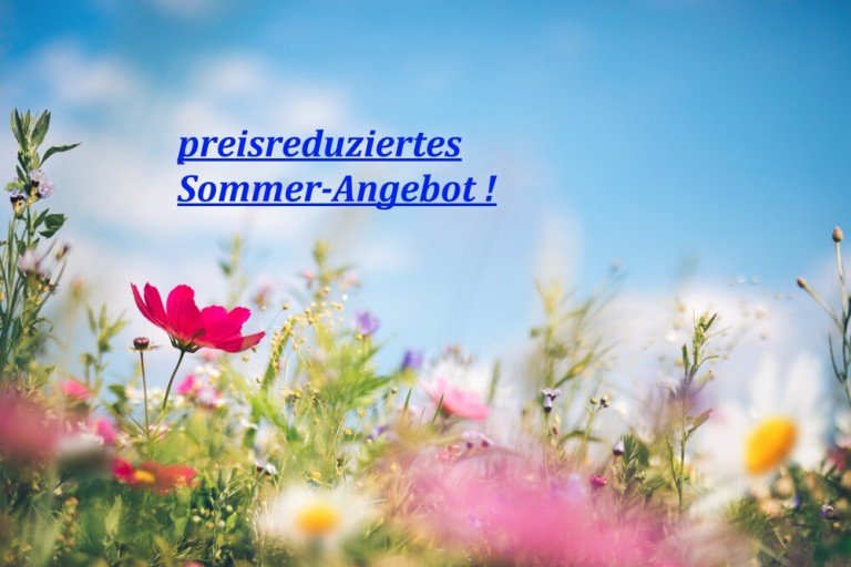 greifen Sie zu ... Eberstadt Etagenwohnung *** einfach zum Verlieben ... sehr gepflegte 3 Zi.-Balkonwohnung in ruhiger Lage ... ! ***