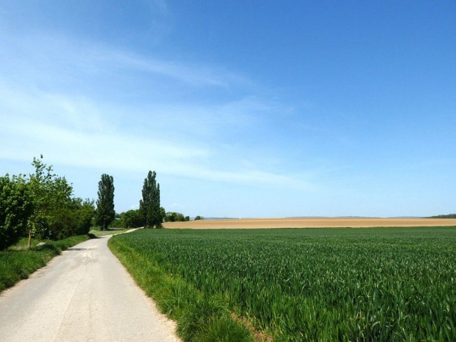 Spaziergang Etagenwohnung Neckarsulm / Amorbach