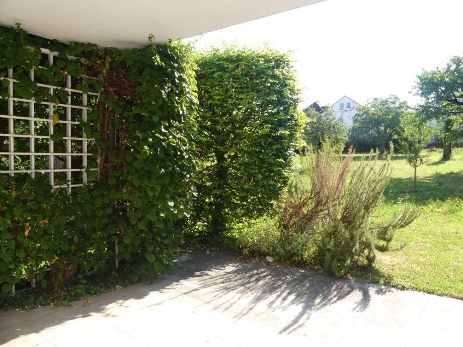 EG: sonnige Terrasse Doppelhaush�lfte Marbach