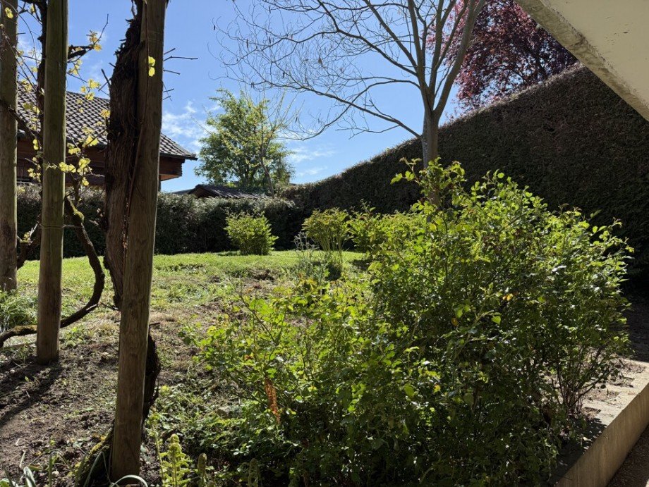 Gartenansicht Bungalow Vaihingen an der Enz / Ro�wag