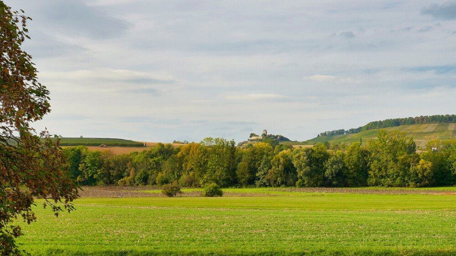 Ausblick auf Burg Beilstein Bungalow Oberstenfeld