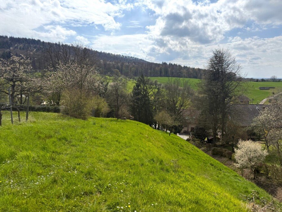  Wohngrundst�ck Gro�bottwar