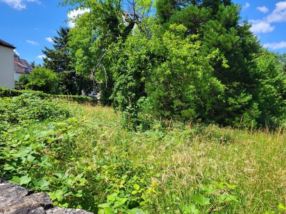 Grundst�ck_Ostseite Wohngrundst�ck Freiberg am Neckar