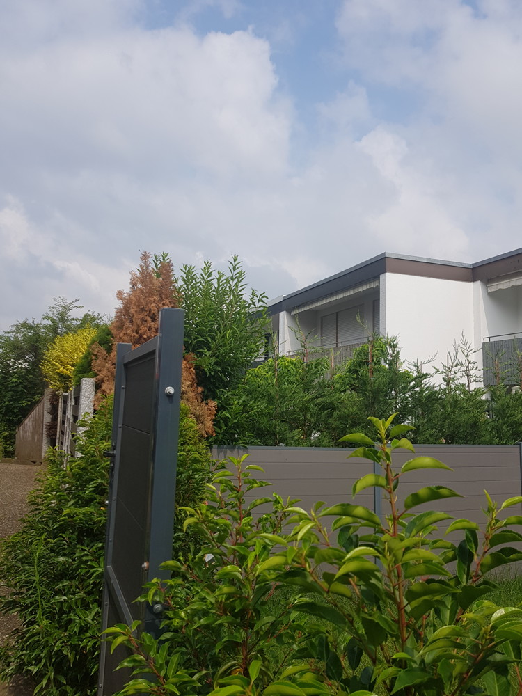 Ansicht_3_hinten Reihenmittelhaus Bietigheim-Bissingen / Bissingen