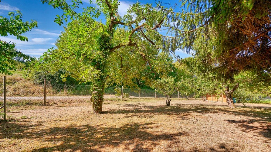 -Gartenansichten- Chalet Remseck am Neckar