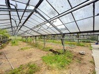 Bild (d1ae8b1882811bd08fa28ee770bd20f1): Gew�chshaus mit ca. 500 m�in Gro�bottwar***Teilfl�chen m�glich***