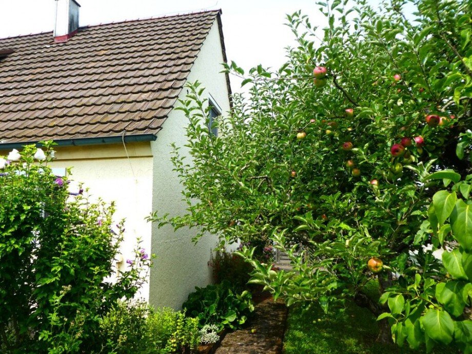 Garten Einfamilienhaus Bietigheim-Bissingen