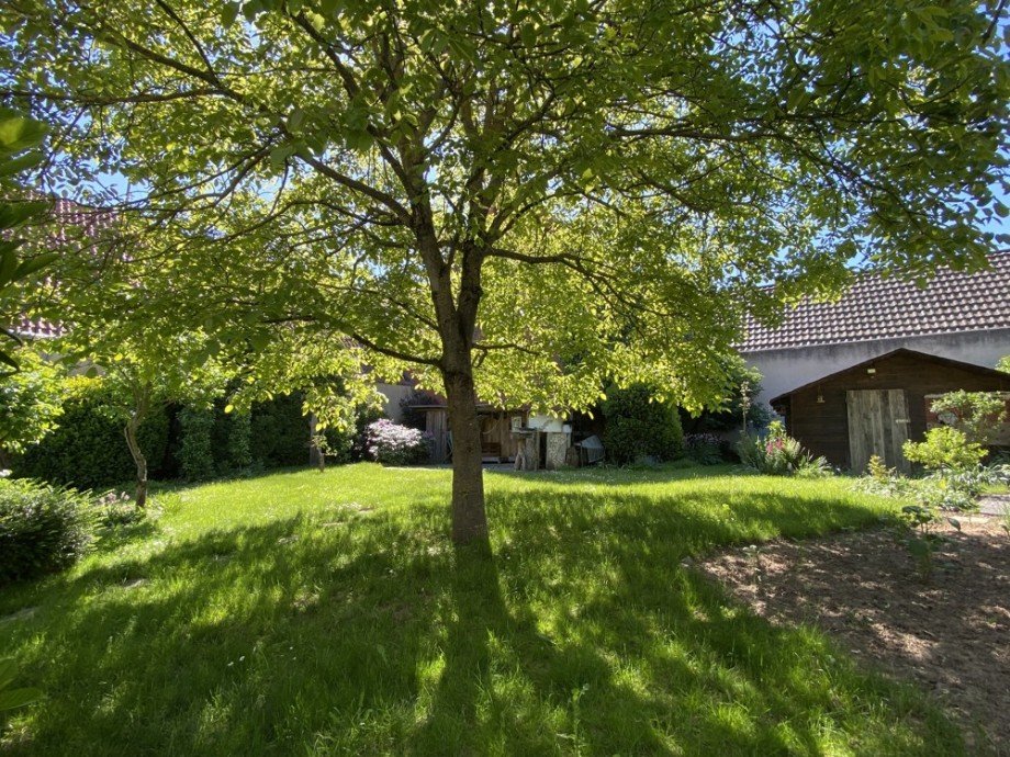 schattiges Pl�tzchen ... Zweifamilienhaus Oedheim / Degmarn